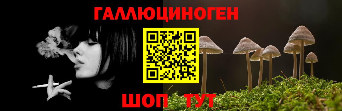 купить наркоту  Вход с VPN  Донской  Галлюциногенные грибы ЛСД 